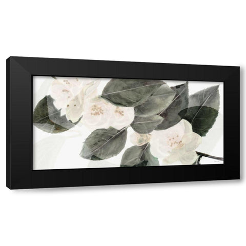 White Beauty Black Modern Wood Framed Art Print with Double Matting by Stellar Design Studio