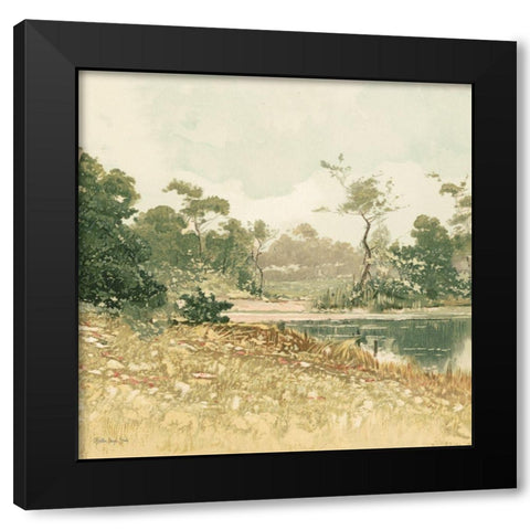 Country Pond 6 Black Modern Wood Framed Art Print with Double Matting by Stellar Design Studio