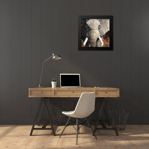 Mandala Elephant Black Modern Wood Framed Art Print by Stellar Design Studio