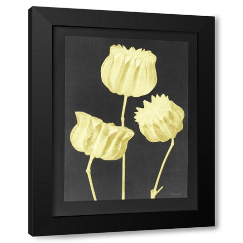 Forms in Nature 1 Black Modern Wood Framed Art Print with Double Matting by Stellar Design Studio