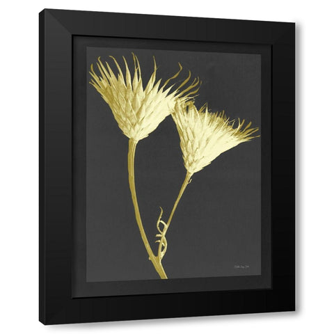 Forms in Nature 2 Black Modern Wood Framed Art Print with Double Matting by Stellar Design Studio