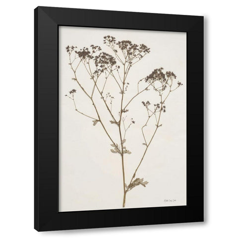 Herbarium Collection 1 Black Modern Wood Framed Art Print by Stellar Design Studio