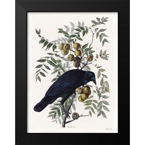 Vintage Crow 1 Black Modern Wood Framed Art Print by Stellar Design Studio