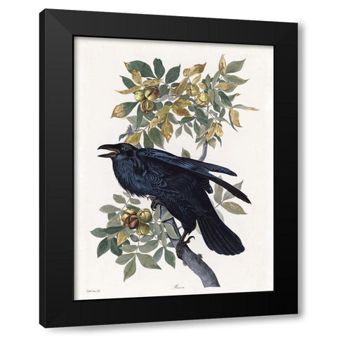 Vintage Crow 2 Black Modern Wood Framed Art Print with Double Matting by Stellar Design Studio