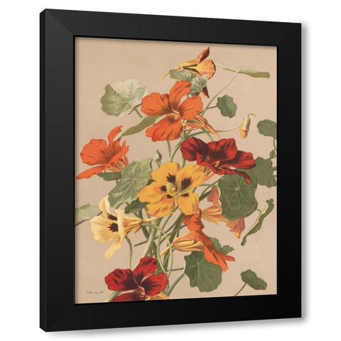 Antique Botanical Collection 2 Black Modern Wood Framed Art Print with Double Matting by Stellar Design Studio