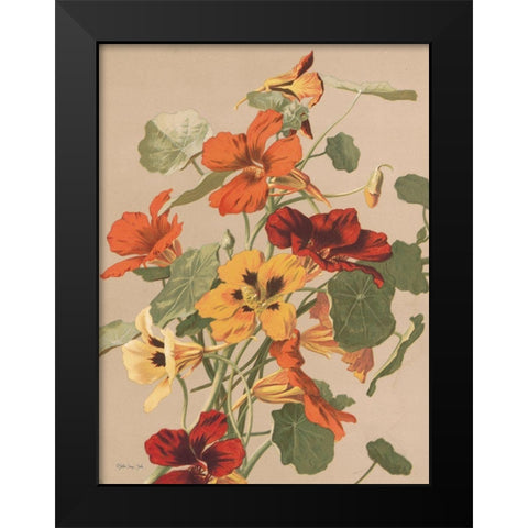 Antique Botanical Collection 2 Black Modern Wood Framed Art Print by Stellar Design Studio