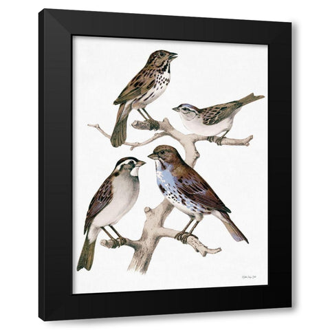 Birds on Branch Black Modern Wood Framed Art Print with Double Matting by Stellar Design Studio