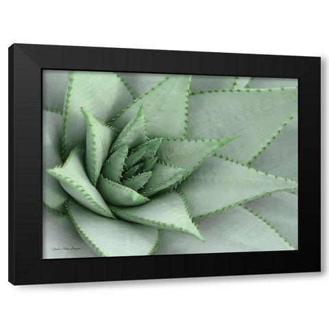 Pointy Tip Succulent Black Modern Wood Framed Art Print by Seven Trees Design