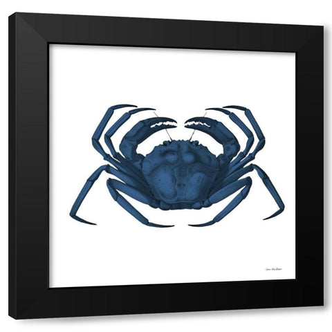 Blue Sea Life I Black Modern Wood Framed Art Print with Double Matting by Seven Trees Design