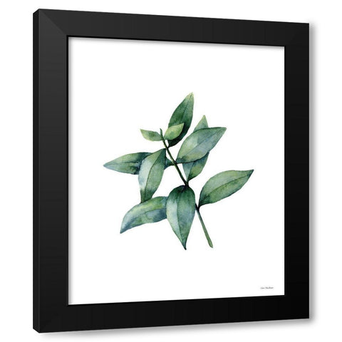Eucalyptus IV Black Modern Wood Framed Art Print with Double Matting by Seven Trees Design