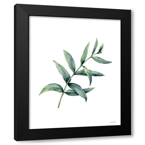 Eucalyptus V Black Modern Wood Framed Art Print with Double Matting by Seven Trees Design