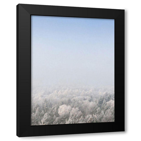 Snow Forest from the Sky   Black Modern Wood Framed Art Print by Seven Trees Design