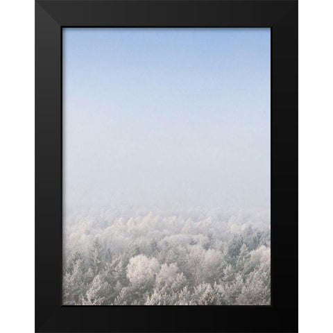 Snow Forest from the Sky   Black Modern Wood Framed Art Print by Seven Trees Design