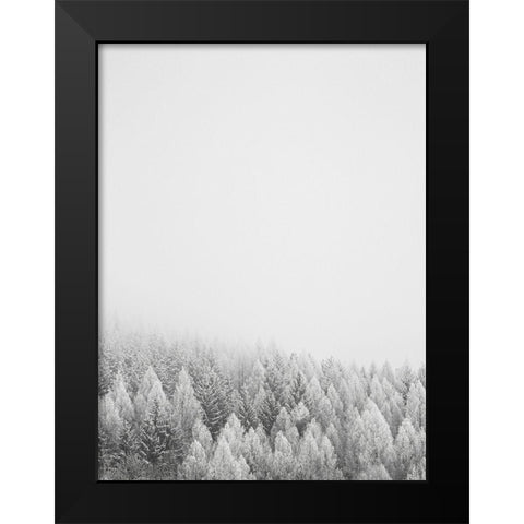 The White Forest   Black Modern Wood Framed Art Print by Seven Trees Design