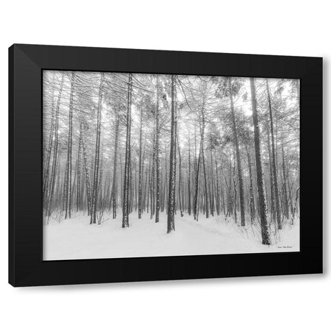 Let It Snow Forest   Black Modern Wood Framed Art Print by Seven Trees Design