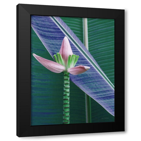Banana Flower Black Modern Wood Framed Art Print with Double Matting by Seven Trees Design