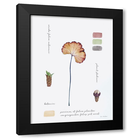 Botanical Notes Black Modern Wood Framed Art Print by Seven Trees Design