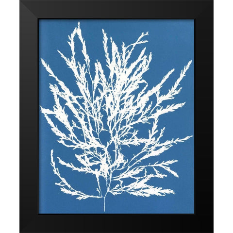 Blue Botanical I Black Modern Wood Framed Art Print by Seven Trees Design