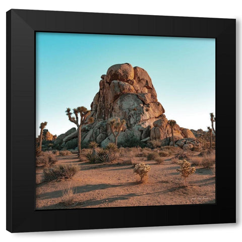 Mountain in the Desert Black Modern Wood Framed Art Print with Double Matting by Seven Trees Design