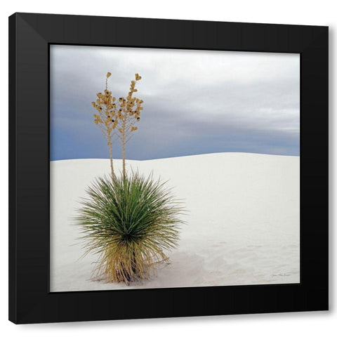 Botanic Dunes Black Modern Wood Framed Art Print with Double Matting by Seven Trees Design