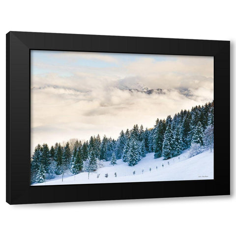 Pines in the Sky    Black Modern Wood Framed Art Print with Double Matting by Seven Trees Design