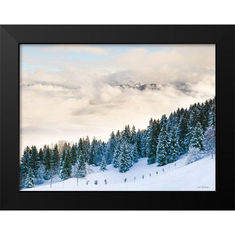 Pines in the Sky    Black Modern Wood Framed Art Print by Seven Trees Design