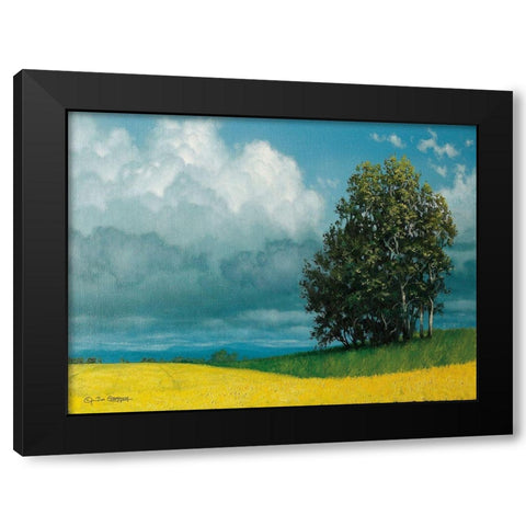 Canola Field Black Modern Wood Framed Art Print with Double Matting by Gagnon, Tim