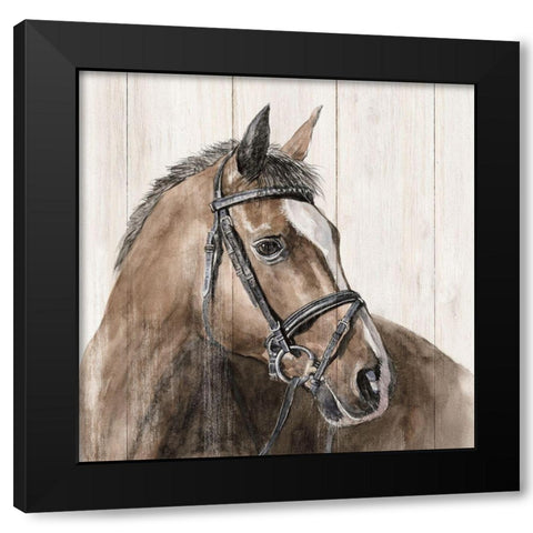 Horse Portrait Black Modern Wood Framed Art Print with Double Matting by White Ladder