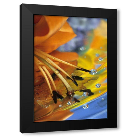 Abstract of lily stamens in reflection Black Modern Wood Framed Art Print by Rotenberg, Nancy