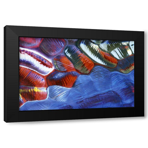 Abstract Pattern in Glass Black Modern Wood Framed Art Print with Double Matting by Rotenberg, Nancy