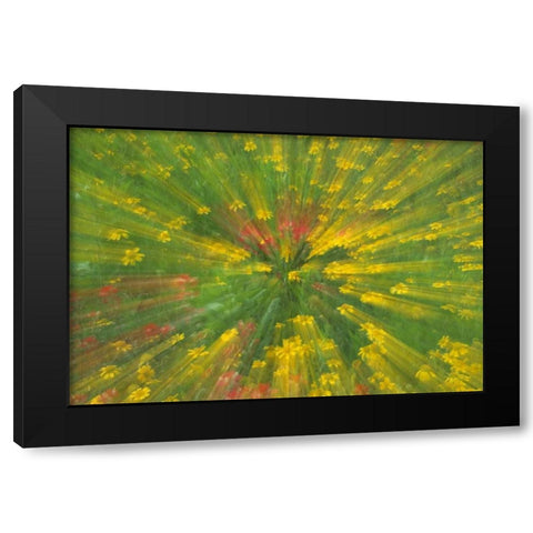 Garden Abstract Black Modern Wood Framed Art Print by Rotenberg, Nancy