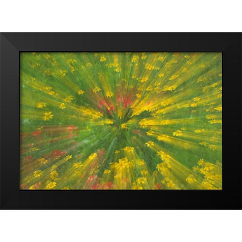 Garden Abstract Black Modern Wood Framed Art Print by Rotenberg, Nancy