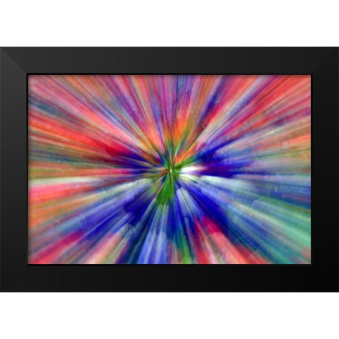 Abstract Zoom abstract of pansy flowers Black Modern Wood Framed Art Print by Needle, Charles