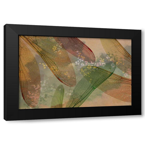 Montage abstract of dragonfly wings and flower Black Modern Wood Framed Art Print with Double Matting by Paulson, Don