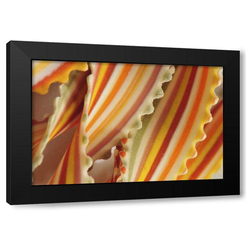 USA Close-up of dried rainbow pasta noodles Black Modern Wood Framed Art Print with Double Matting by Terrill, Steve