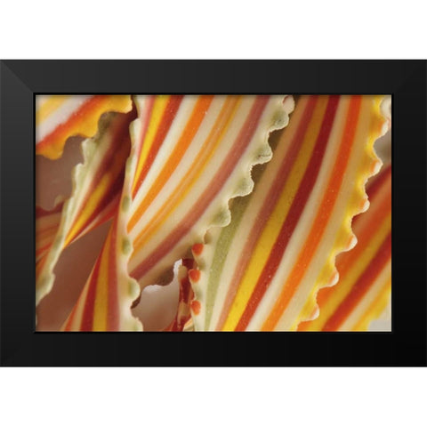 USA Close-up of dried rainbow pasta noodles Black Modern Wood Framed Art Print by Terrill, Steve