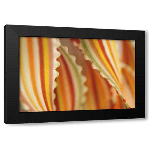 USA Close-up of dried rainbow pasta noodles Black Modern Wood Framed Art Print with Double Matting by Terrill, Steve