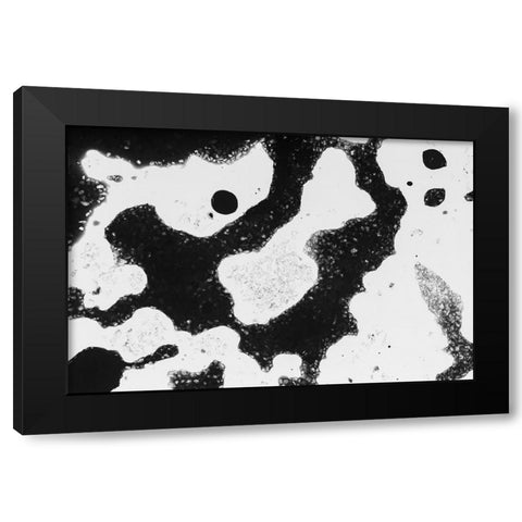 Color abstract Black Modern Wood Framed Art Print by Muench, Zandria