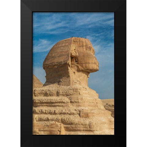 Africa-Egypt-Cairo Giza plateau Great Sphinx of Giza in front of the Great Pyramid of Giza Black Modern Wood Framed Art Print by Wilson, Emily