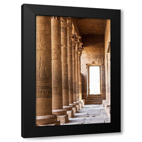 Africa-Egypt-Aswan Philae Temple on Agilkia Island in the Nile River Black Modern Wood Framed Art Print with Double Matting by Wilson, Emily