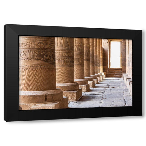 Africa-Egypt-Aswan Philae Temple on Agilkia Island in the Nile River Black Modern Wood Framed Art Print with Double Matting by Wilson, Emily