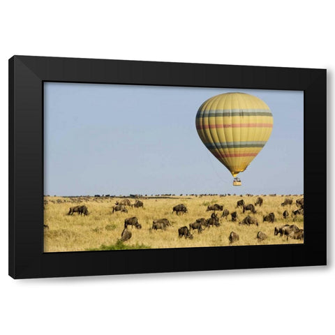 Kenya, Masai Mara Tourists ride hot air balloon Black Modern Wood Framed Art Print with Double Matting by Kirkland, Dennis