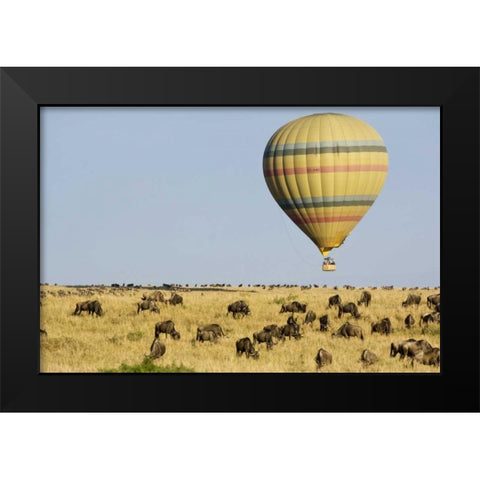 Kenya, Masai Mara Tourists ride hot air balloon Black Modern Wood Framed Art Print by Kirkland, Dennis