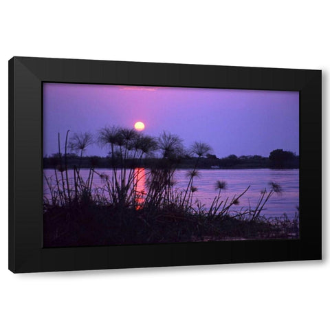 Kenya Sunset reflects on water through reeds Black Modern Wood Framed Art Print by Williams, Joanne