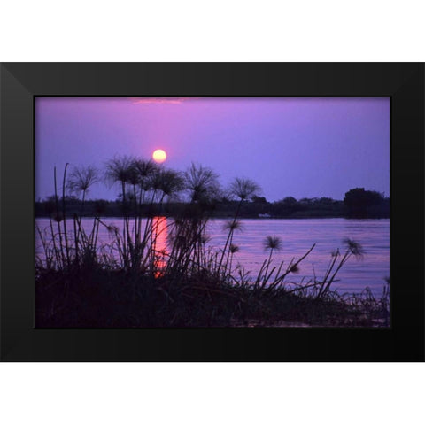 Kenya Sunset reflects on water through reeds Black Modern Wood Framed Art Print by Williams, Joanne