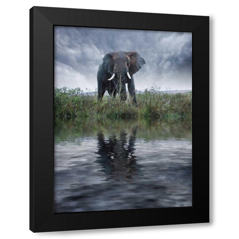Kenya, Masai Mara Elephant reflecting in water Black Modern Wood Framed Art Print by Zuckerman, Jim