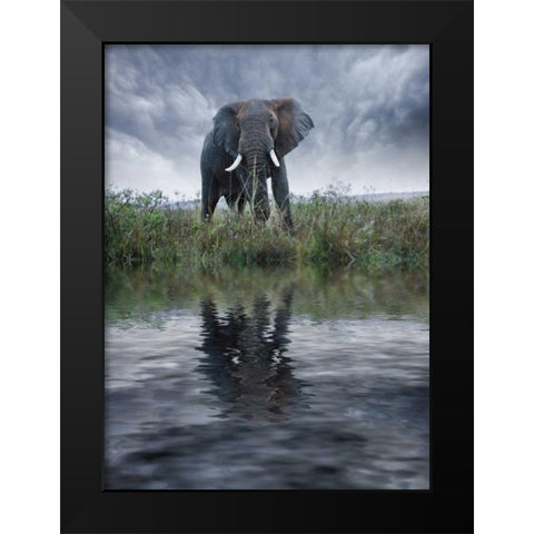 Kenya, Masai Mara Elephant reflecting in water Black Modern Wood Framed Art Print by Zuckerman, Jim