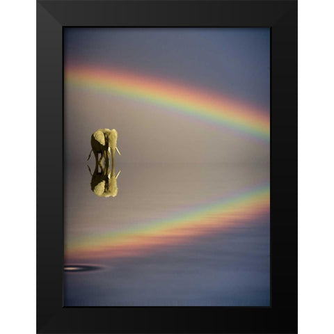 Kenya, Masai Mara Bull elephant and rainbow Black Modern Wood Framed Art Print by Zuckerman, Jim