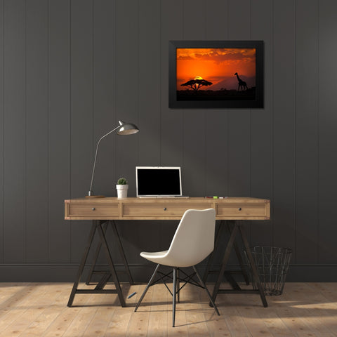 Kenya-Amboseli National Park Abstract sunset with giraffe and acacia tree silhouettes Black Modern Wood Framed Art Print by Jaynes Gallery