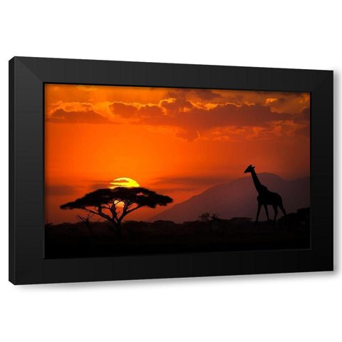 Kenya-Amboseli National Park Abstract sunset with giraffe and acacia tree silhouettes Black Modern Wood Framed Art Print by Jaynes Gallery